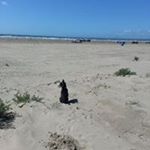 Profile Picture of Fran Bates (@batesfran) on Instagram