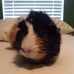 Profile Picture of Matthew Tarpley (@matthew.tarpley.50) on Facebook