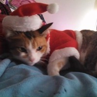 Anjanette Hall - Quora Profile Picture of Anjanette Hall (@anjanette-hall) on Quora