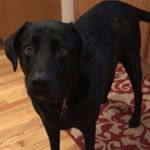 Profile Picture of Toby Perry (@toby_perry21) on Instagram