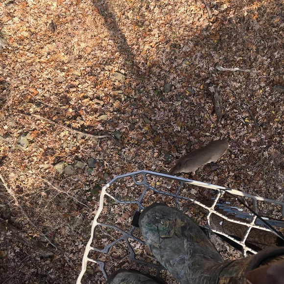 Profile Picture of Scott Dilts (@dilts459) on Poshmark