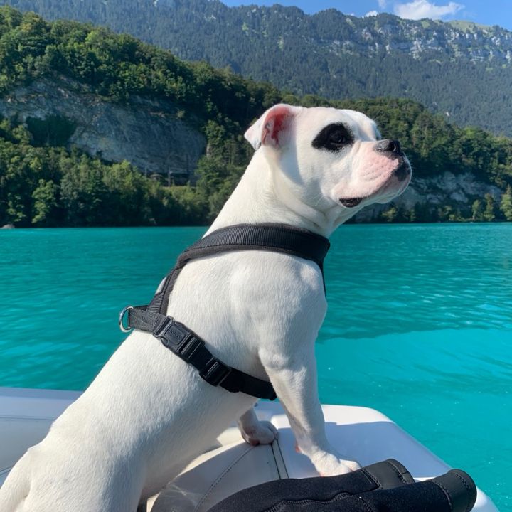 Profile Picture of Alice Birkner (@ameise01) on Tiktok