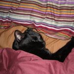 Profile Picture of Talia Bamerick (@taliabamerick) on Instagram