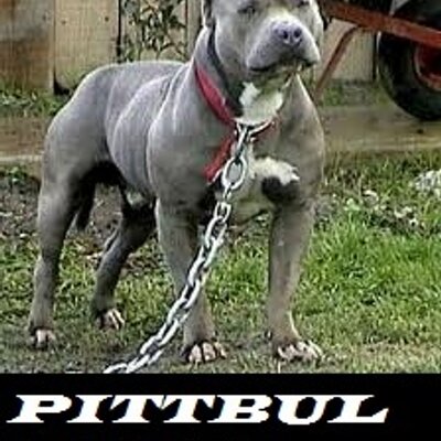 Hernando Martinez - Twitter Profile Picture of Hernando Martinez (@yavi9858) on Twitter