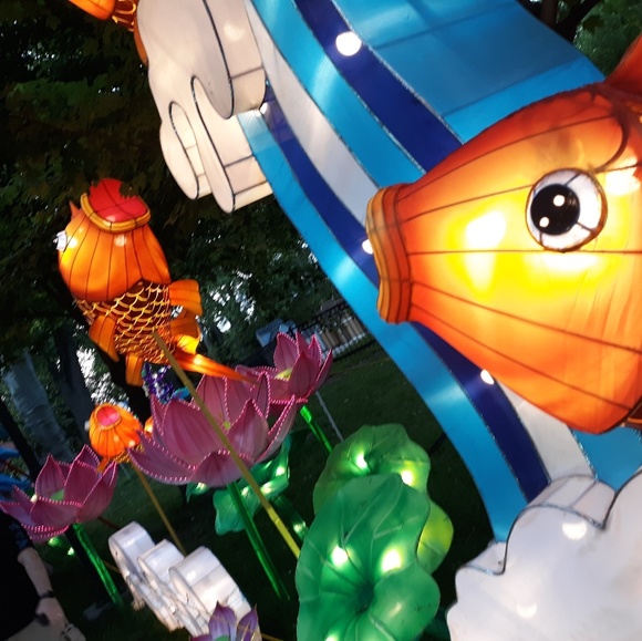 Eliza Scheffers - Poshmark Profile Picture of Eliza Scheffers (@bmusic1934) on Poshmark