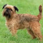 Profile Picture of Aaron Keller (@Aaron-Keller) on Facebook