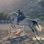 Profile Picture of laura hamilton (@lauraelizabeth.eq) on Instagram