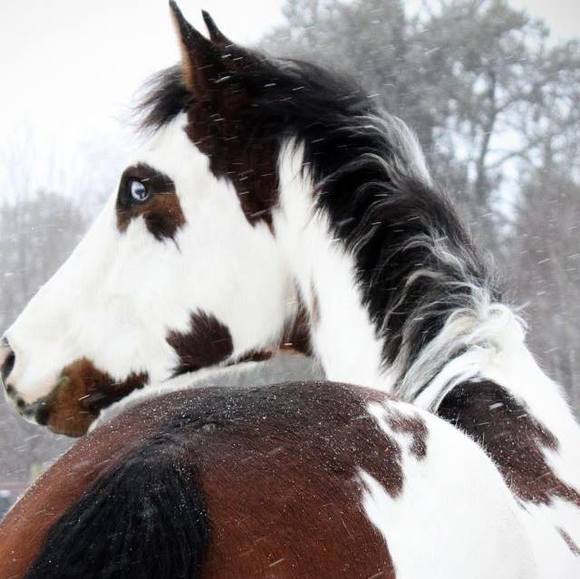 Profile Picture of Kaydee Orlowski (@babyexpress32) on Poshmark