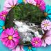 Profile Picture of Diane Lareau (@diane.lareau) on Facebook