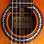 Profile Picture of Tony Gonzales (@tony g lol) on Flickr
