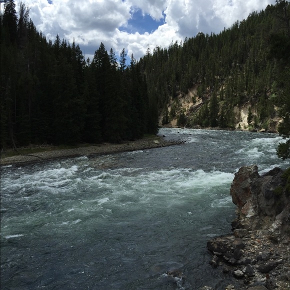 Profile Picture of Tamara Aqleh (@tamar2112) on Poshmark