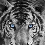 Profile Picture of José Picot (@picotjose) on Instagram