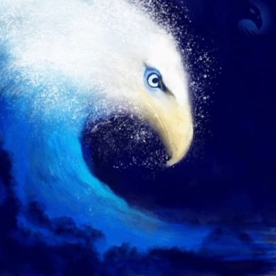 Profile Picture of  💙ᴮᵃʸ ᴸⁱᶠᵉ 🐚 (@BayLife) on Twitter