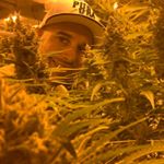 Profile Picture of Michael Abrams (@thecannaprofit) on Instagram