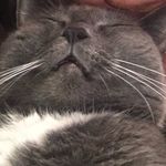 Profile Picture of Smokey Semlear (@sagboismokey) on Instagram