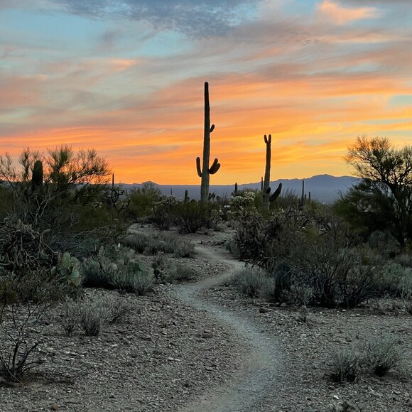 Profile Picture of Kimberly Hirai (@klhirai) on Poshmark