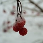 Profile Picture of Eugenes (@eugenesshiltonr3) on Instagram