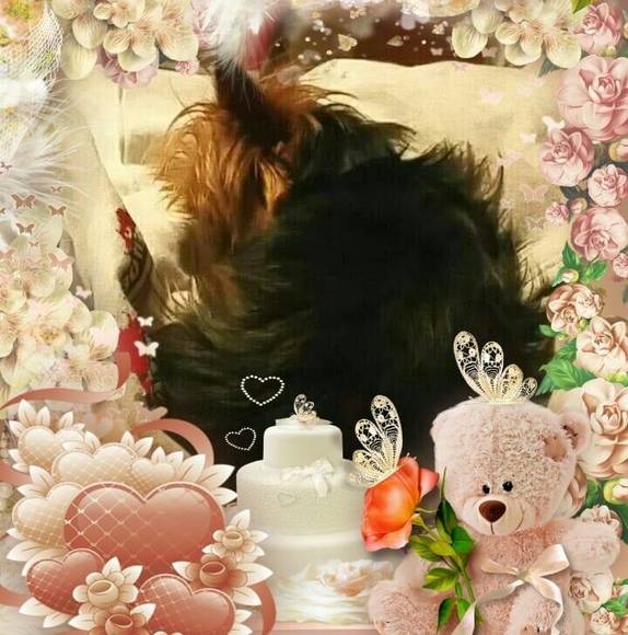 Profile Picture of Cricket Rudesill (@rrudesill) on Poshmark
