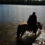 Profile Picture of Robert Terpening (@robertterpening) on Instagram