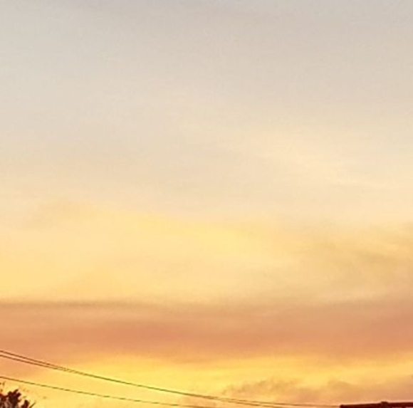 Profile Picture of Gabby Merrix (@gabbymerrix) on Poshmark