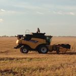 Joel Schubert - Instagram Profile Picture of Joel Schubert (@schuby_is_my_name) on Instagram