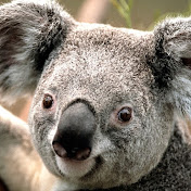 Profile Picture of Ben Crow (@bencrow706) on Youtube