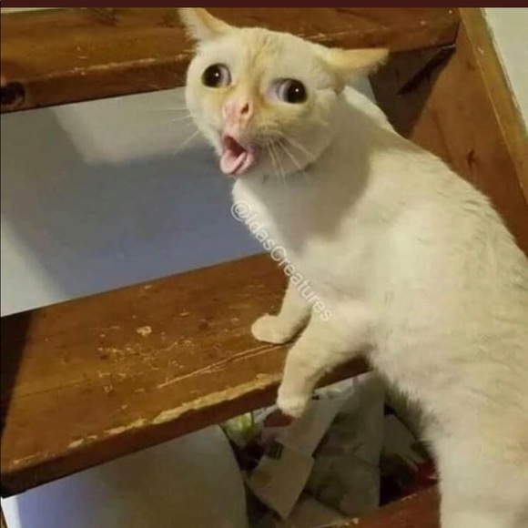 Profile Picture of Jack Mignault (@jmigs14435) on Poshmark