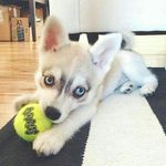 Profile Picture of Olivia Crain (@olivia.crain.14) on Instagram