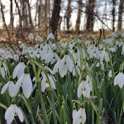 Profile Picture of Mark Caine (@markcaine4255) on Youtube