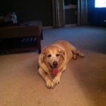 Profile Picture of Cheryl (@samson8892) on Instagram