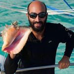 Profile Picture of Brian Weisenthal (@djbwise) on Instagram