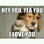 Profile Picture of jerry_gilbert_8 (@jerry_gilbert_8) on Instagram