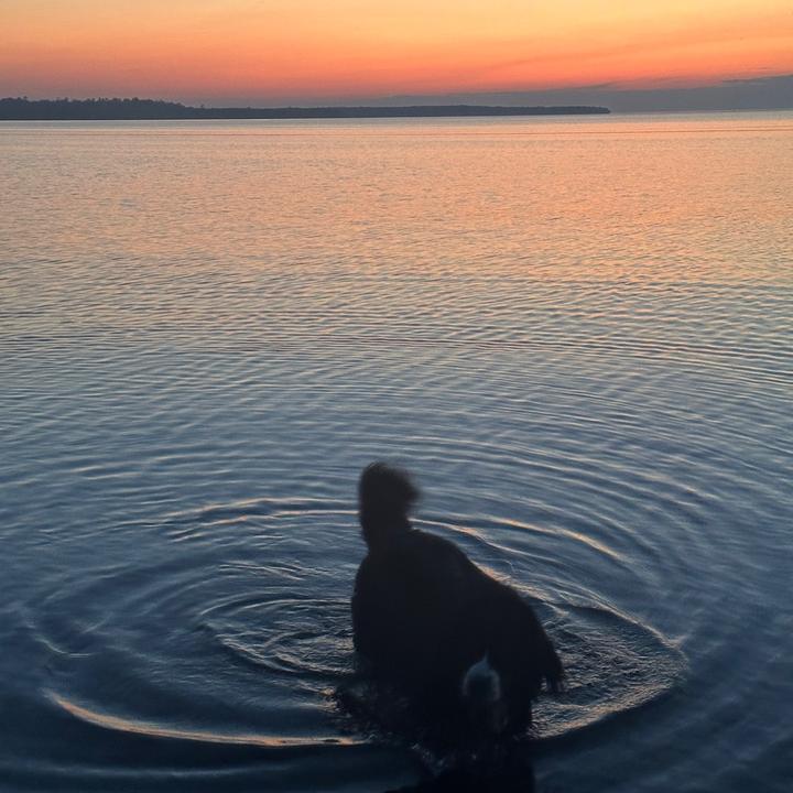 Profile Picture of Max Jacobs (@max_jacobs3) on Tiktok