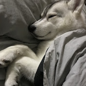 Profile Picture of Angela Keller (@angelakeller9047) on Youtube