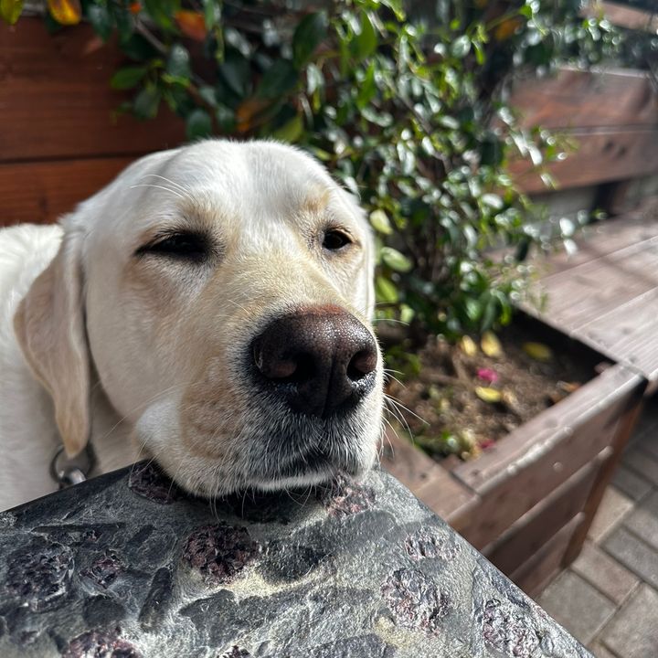 sundaynyc - Tiktok Profile Picture of sundaynyc (@sundaynyc) on Tiktok