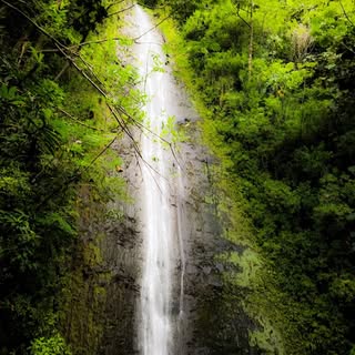 Profile Picture of Logan Bledsoe (@_loganbledsoe) on Instagram