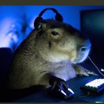 Profile Picture of Mark Moreno (@mmorenoo_5) on Instagram