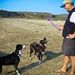 Profile Picture of Kevin Casali (@kevincasali) on Pinterest