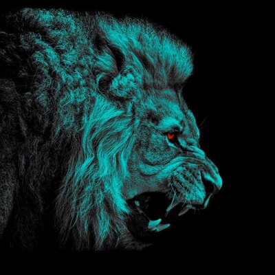 Profile Picture of Chris Rabago (@rabago_chris) on Twitter