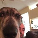 Profile Picture of Kyle Lapierre (@lapierre_kyle) on Instagram