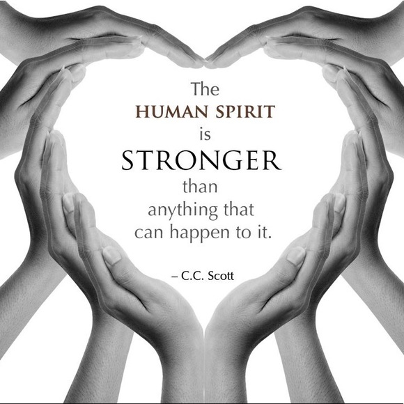 Profile Picture of Dawn Kreder (@kreder4) on Poshmark