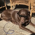 Profile Picture of Kimberly Luette (@kimberly.l.williams.54) on Facebook