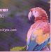 Profile Picture of Robert Mularski (@robert.mularski.50) on Facebook