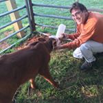 Profile Picture of Farmer John Hardeman (@farmerjohnhardeman) on Instagram