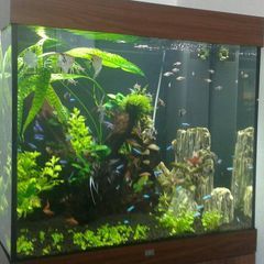 Profile Picture of Michal Kovalsky (@michalkovalsky) on Tiktok