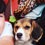 Profile Picture of Benjamin Mayorga (@thebenjaproyt) on Instagram