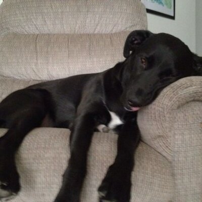 Profile Picture of Paul Rumble (@rumbleizer) on Twitter