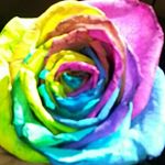 Profile Picture of david and leanna (@friend.snavely) on Instagram