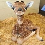 Profile Picture of Glen McVeigh (@glen.mcveigh) on Instagram