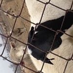 Profile Picture of Javier Guevara Serrato (@javier_serrato_guevara) on Instagram